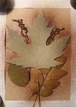 decorsvoimirukami